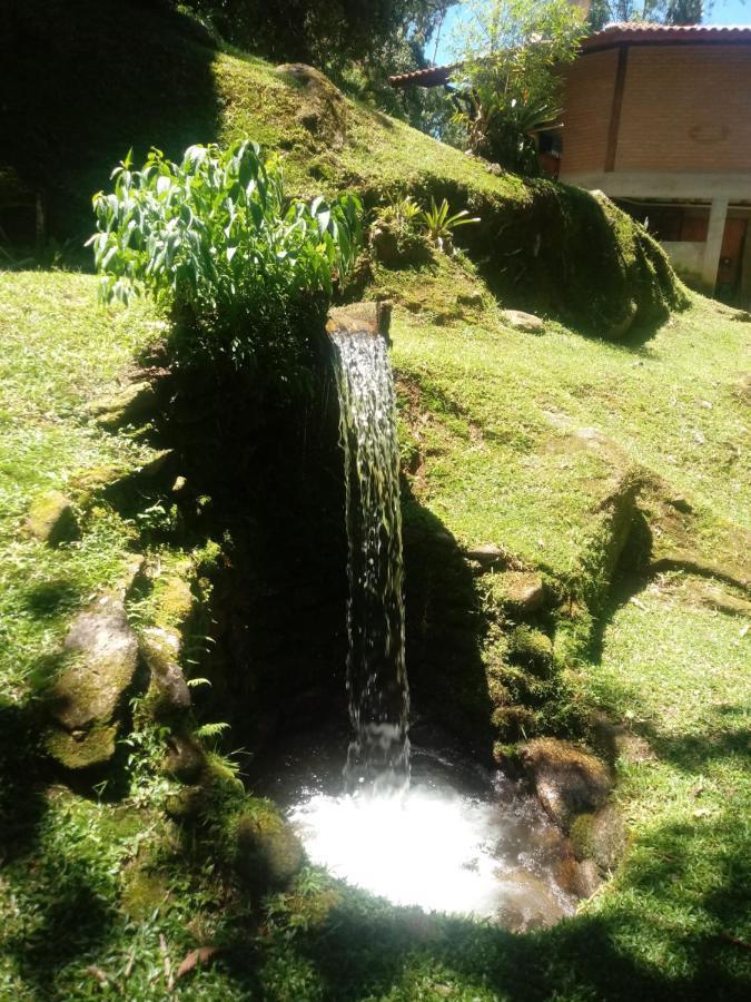 Chale Truta Da Floresta Висконди-ди-Мауа Экстерьер фото